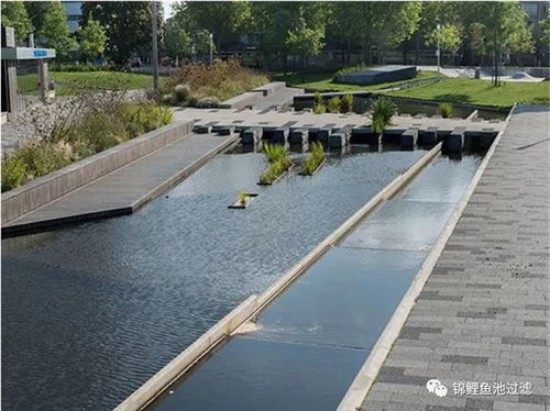 奥利仕大型鱼池过滤器 奥利仕 在线咨询 内蒙古鱼池过滤器